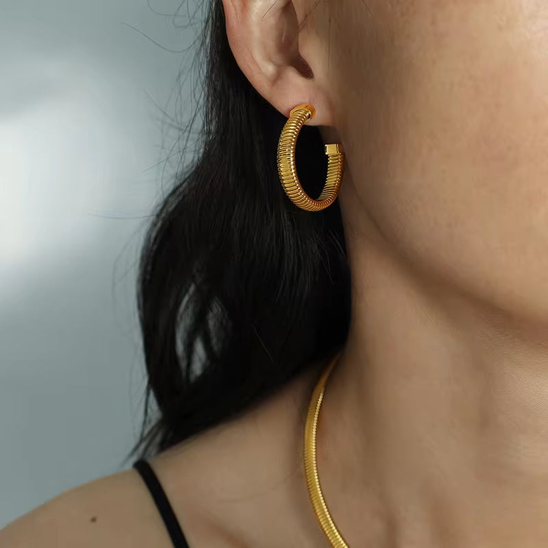Earrings